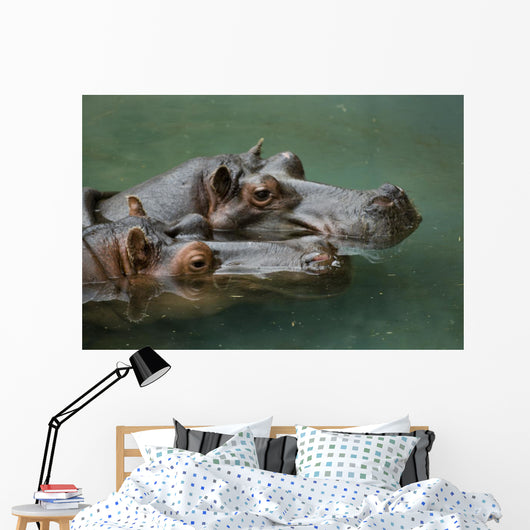 Hippos Wall Mural