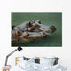 Hippos Wall Mural