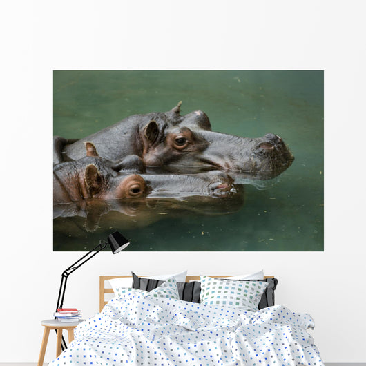 Hippos Wall Mural