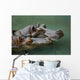 Hippos Wall Mural
