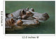Hippos Wall Mural