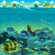 Seascape with Treasure and