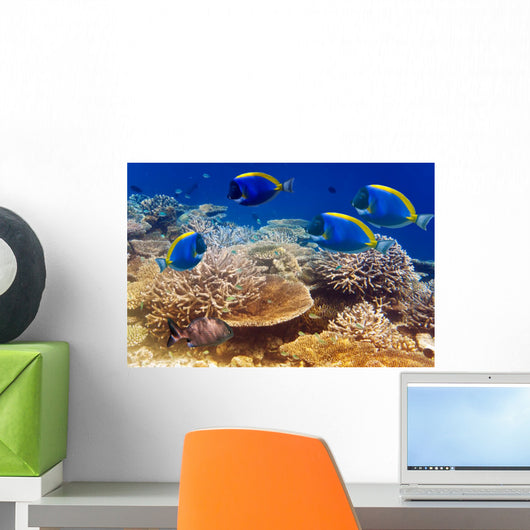 Powder Blue Tang Coral Wall Mural