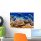 Powder Blue Tang Coral Wall Mural