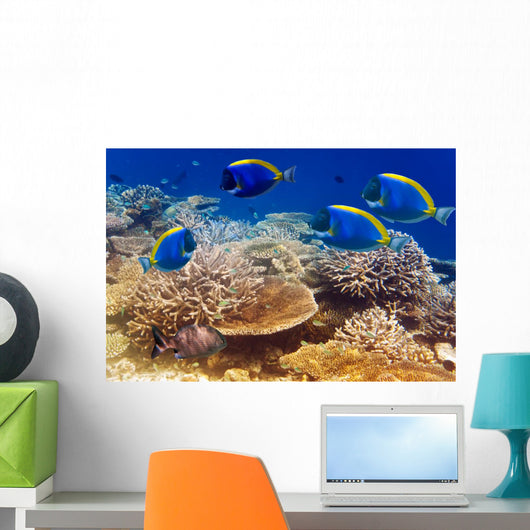 Powder Blue Tang Coral Wall Mural