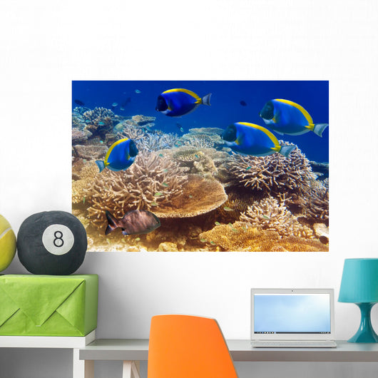 Powder Blue Tang Coral Wall Mural