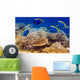 Powder Blue Tang Coral Wall Mural