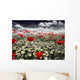 Poppies in a Field Wall Mural