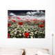 Poppies in a Field Wall Mural