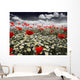 Poppies in a Field Wall Mural