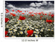 Poppies in a Field Wall Mural