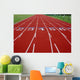 Lanes on a Red Track Wall Mural