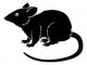Stylised rat illustration Wall Decal