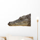 Photograph of the Head of a Nile Crocodile Wall Decal