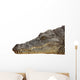 Photograph of the Head of a Nile Crocodile Wall Decal