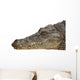 Photograph of the Head of a Nile Crocodile Wall Decal