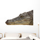 Photograph of the Head of a Nile Crocodile Wall Decal