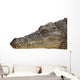 Photograph of the Head of a Nile Crocodile Wall Decal
