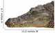 Photograph of the Head of a Nile Crocodile Wall Decal