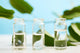 Water and Green Leaves Wall Mural