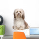 Beautiful Chocolate Havanese Dog Wall Decal