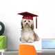 Cute eminent graduation havanese dog wit red cap Wall Decal