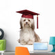 Cute eminent graduation havanese dog wit red cap Wall Decal