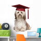 Cute eminent graduation havanese dog wit red cap Wall Decal