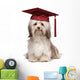 Cute eminent graduation havanese dog wit red cap Wall Decal