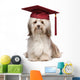 Cute eminent graduation havanese dog wit red cap Wall Decal