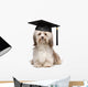 Cute eminent graduation havanese dog wit black cap Wall Decal