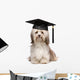 Cute eminent graduation havanese dog wit black cap Wall Decal