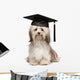 Cute eminent graduation havanese dog wit black cap Wall Decal