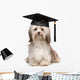 Cute eminent graduation havanese dog wit black cap Wall Decal
