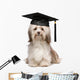 Cute eminent graduation havanese dog wit black cap Wall Decal