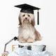 Cute eminent graduation havanese dog wit black cap Wall Decal