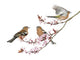 Chaffinch Cherry Blossoms Wall Decal
