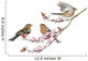 Chaffinch Cherry Blossoms Wall Decal