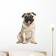 Pug Sitting and Panting