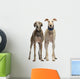 Two Spanish Galgo Standing, 6 Years Old, Isolated on White Wall Decal