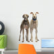 Two Spanish Galgo Standing, 6 Years Old, Isolated on White Wall Decal