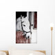 Grey Pony 13 Years Wall Mural