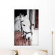 Grey Pony 13 Years Wall Mural