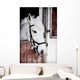 Grey Pony 13 Years Wall Mural