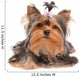 Yorkshire Terrier with Small