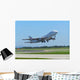 Airplane Wall Mural