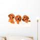 Golden retriever puppies Wall Decal