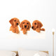 Golden retriever puppies Wall Decal
