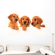 Golden retriever puppies Wall Decal