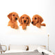 Golden retriever puppies Wall Decal